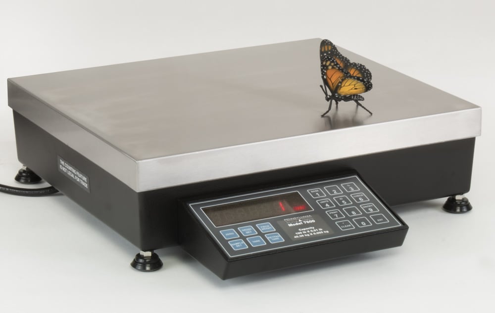 Penn 7600BenchScale West Michigan Scales
